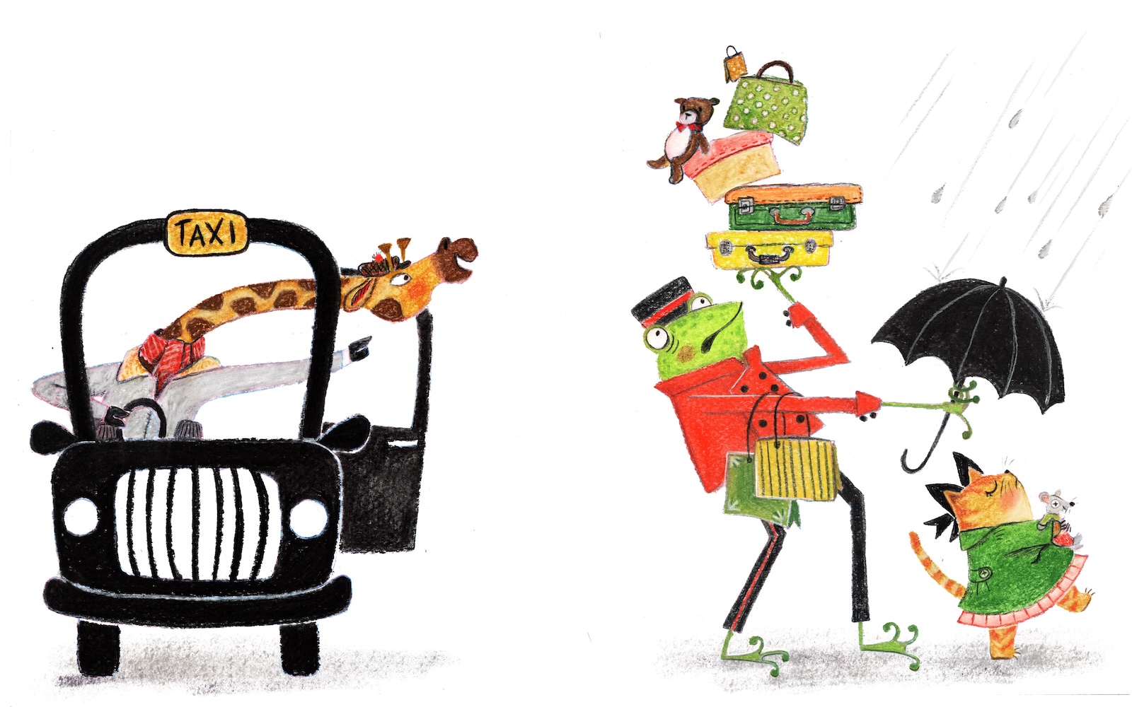 Children's Book Illustration showing a giraffe cabby driver learning out the window of his taxi, pointing at a pile of teetering suitcases that a frog bell hop is carrying. The bell hop looks stressed, carrying suitcases, with bags over one arm, and holding an umbrella over a snooty looking kitten. The kitten is wearing a green peacoat and holding a stuffed mouse in her arms. She has her nose up in the air.