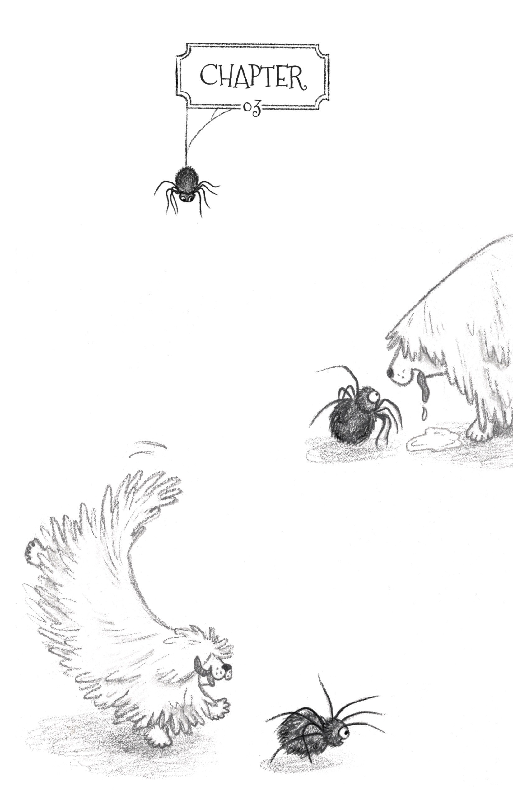 Middle Grade chapter book spot illustration showing a Komondor dog discovering and then chasing a large, friendly looking spider.